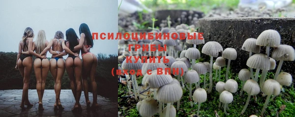 spice Алексеевка