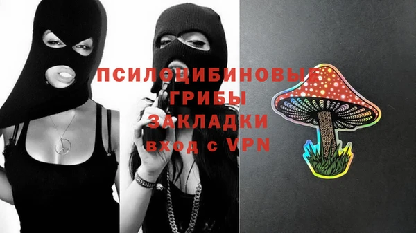 дурь Алзамай