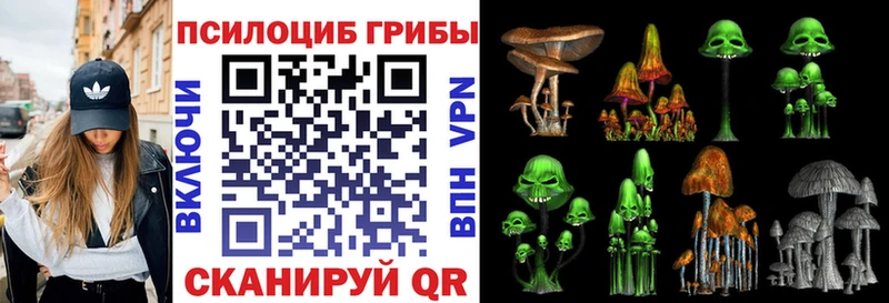 хочу наркоту  Сельцо  Псилоцибиновые грибы Psilocybine cubensis 